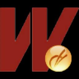 万联证券期权交易官方专业版