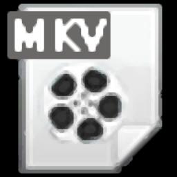 4Easysoft MKV Converter官方版