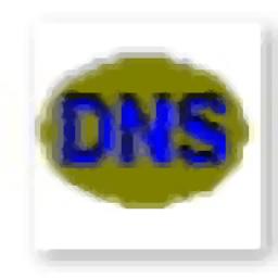 DNSDataView