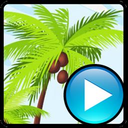 Alternate Exe Slide官方版