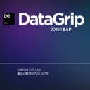 JetBrains DataGrip汉化包