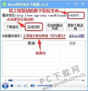 echo回声下载工具